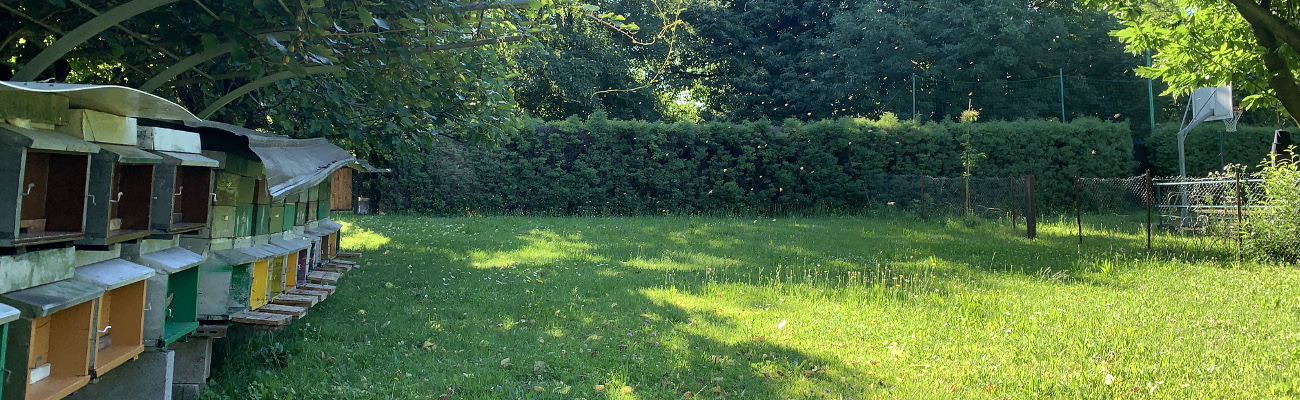 Paesaggio varesino con alveari